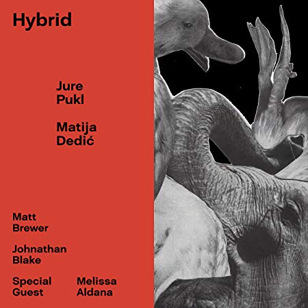 Jure Pukl - Hybrid - CD