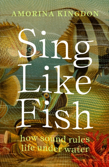 Amorina Kingdon - Sing Like Fish : how sound rules life under water -