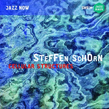 Steffen Schorn Ensem - Steffen Schorn: Cellular Structures - CD