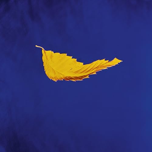 New Order - True Faith - Vinyl Record SINGLE VINYL