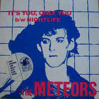 Meteors - It's You, Only You - Used Vinyl Record 7"