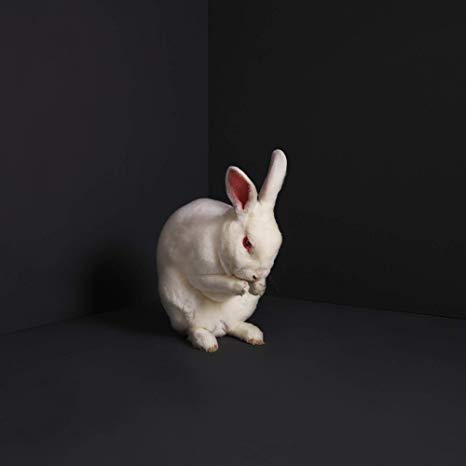 Brume - Rabbits - CD