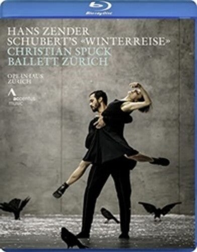 VARIOUS - ZENDER/SCHUBERT:WINTERREISE - DVD