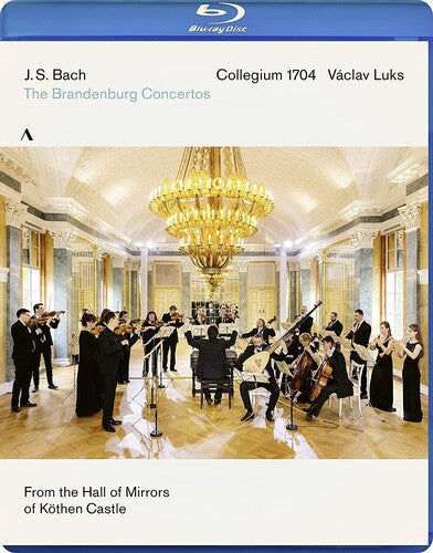 COLLEGIUM 1704/ LUKS - BRANDENBURG CONCERTOS - DVD