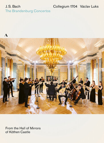 COLLEGIUM 1704/ LUKS - BRANDENBURG CONCERTOS - DVD