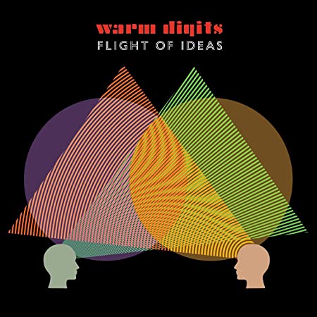 WARM DIGITS - FLIGHT OF IDEAS - Vinyl Record 12" RECORD