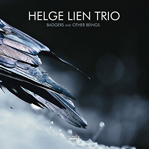 Helge Lien Trio - Badgers And Other Beings - CD