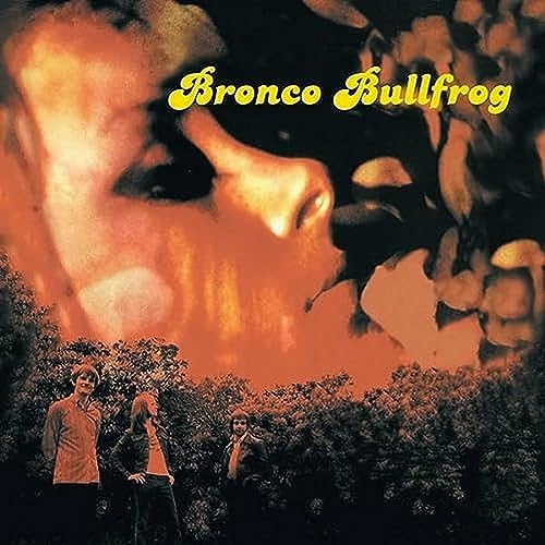 BRONCO BULLFROG - New Vinyl Record