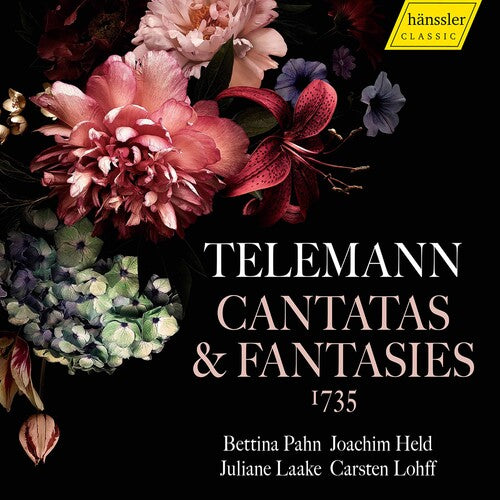 TELEMANN / PAHN / LO - CANTATAS & FANTASIAS - CD