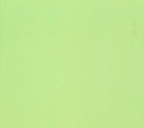 Conrad Schnitzler - Grun - New Vinyl Record