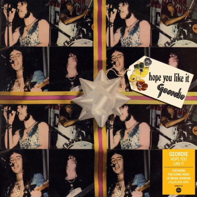GEORDIE - Hope You Like It - Vinyl Record