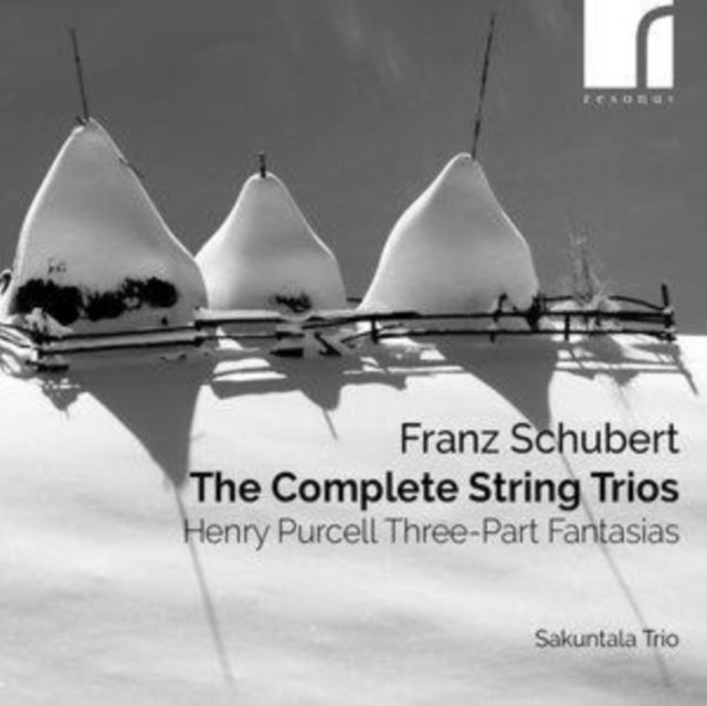 SAKUNTALA TRIO - FRANZ SCHUBERT THE COMPLETE S - CD