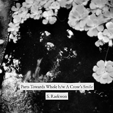 PART TOWARDS WHOLE B/W A CROW'S SMILE - Vinyl Record S7