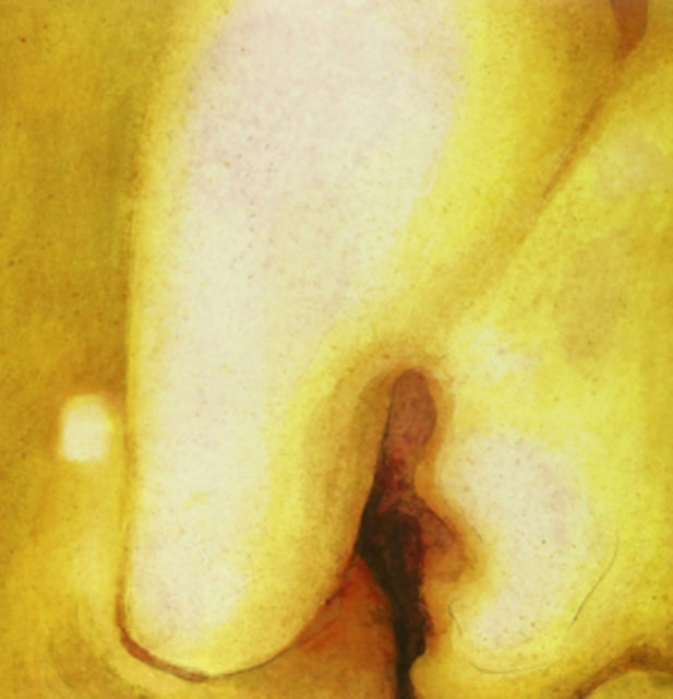 Smashing Pumpkins / Pisces Iscariot (2LP/Gat) - VINYL