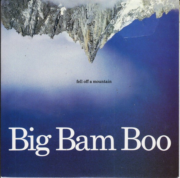 Big Bam Boo - Fell Off A Mountain - Used Vinyl Record 7"