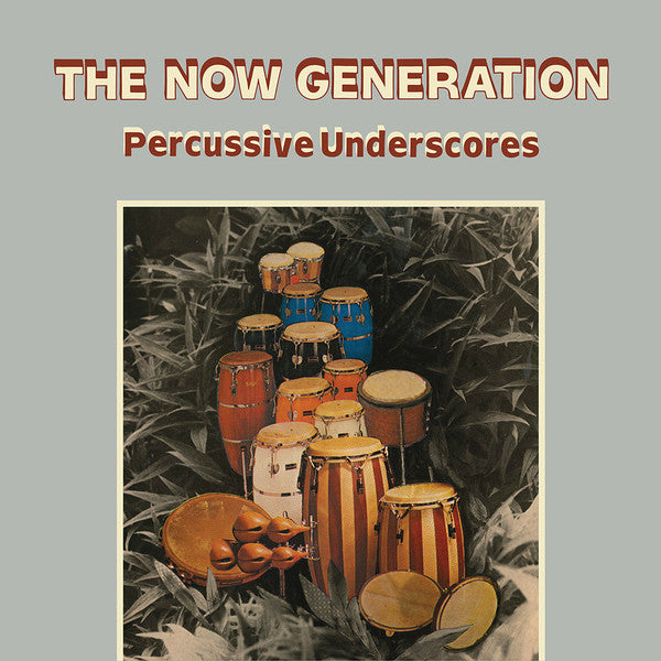 Peter Ludemann - Now Generation (Percussive Underscores) - Vinyl Rec