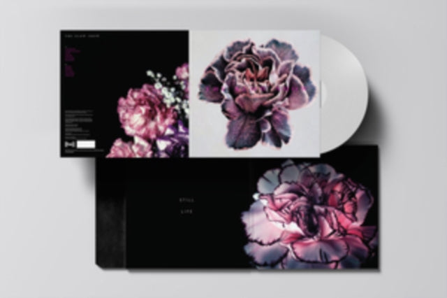 SLOW SHOW - STILL LIFE - Vinyl Record 12" RECORD