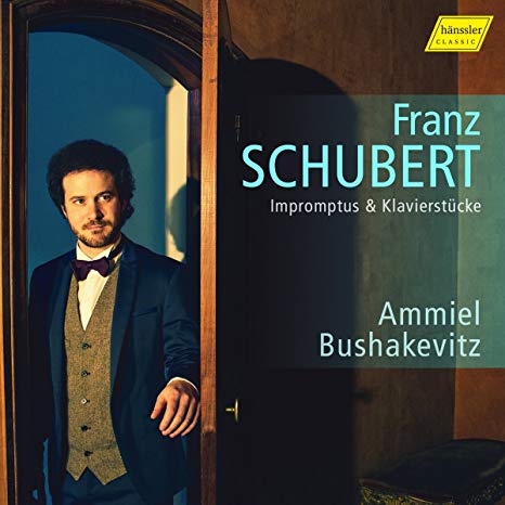 Franz Schubert - Impromptus & Klavierstücke - CD