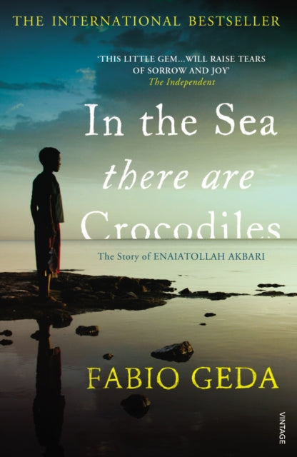 Fabio Geda - In the Sea There Are Crocodiles - Paperback