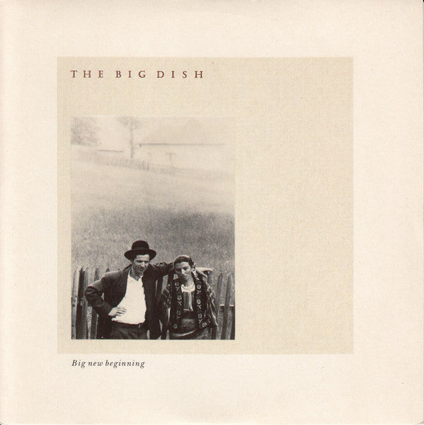 Big Dish - Big New Beginning - Used Vinyl Record 7"