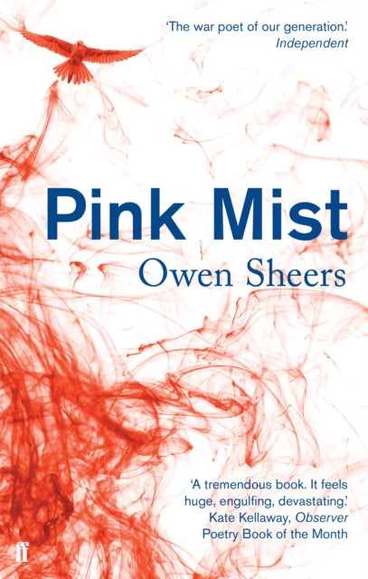 Owen Sheers - Pink Mist - Paperback