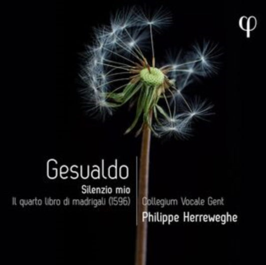 COLLEGIUM VOCALE GEN - GESUALDO SILENZIO MIO. IL QUA - CD