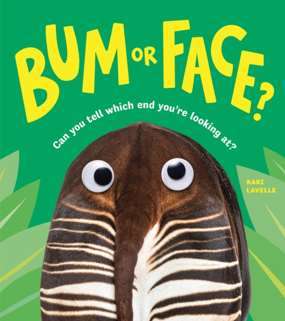 Kari Lavelle - Bum or Face - Paperback