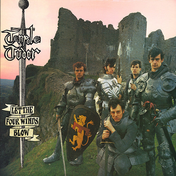 Tenpole Tudor - Let The Four Winds Blow - Used Vinyl Record