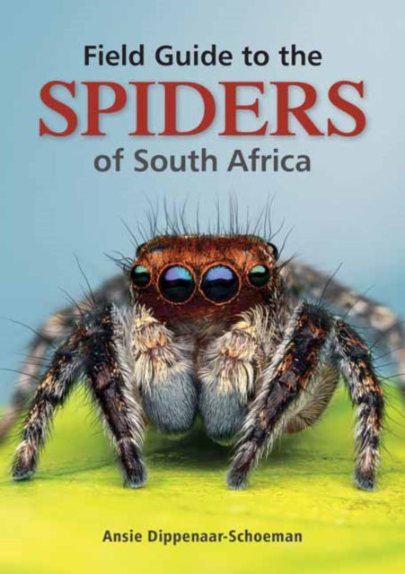 Ansie Dippenaar-Scho - Field Guide to the Spiders of South Africa - Ne