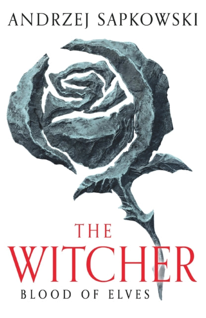 Andrzej Sapkowski - Blood of Elves   Witcher 1 - Now a major Netflix s