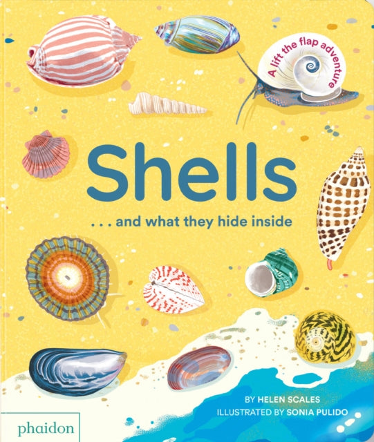 Helen Scales - Shells... and what they hide inside : A Lift-the-Flap A