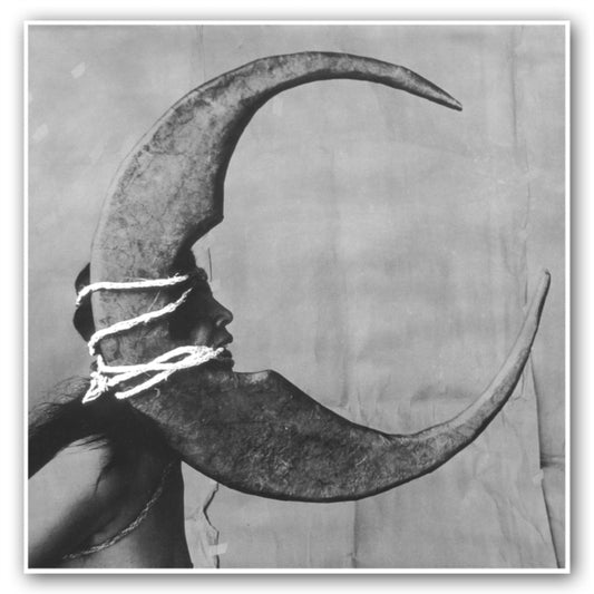Ghost Bat - Moonlover - Preorder - New Vinyl Record VINYL
