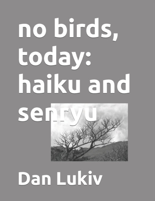 Lukiv - no birds, today  haiku and senryu - New paperback or softback