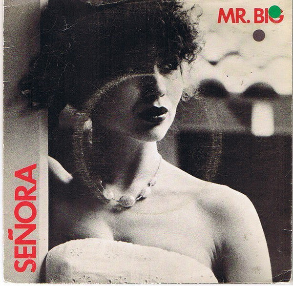 Mr Big - Senora - Used Vinyl Record 7"