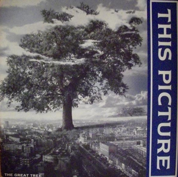 This Picture - Great Tree - Used Vinyl Record 12"