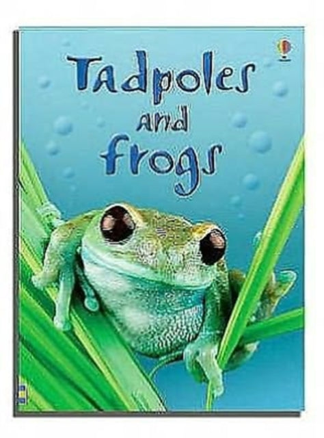 Anna Milbourne - Tadpoles and Frogs - New Hardback