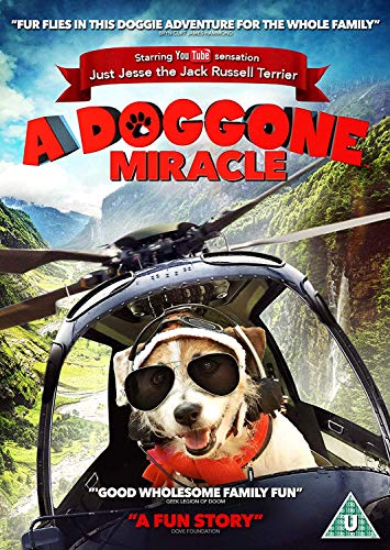 Doggone Miracle - New DVD