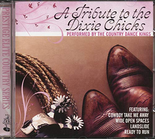 COUNTRY DANCE KINGS - TRIBUTE TO THE DIXIE CHICKS - New CD
