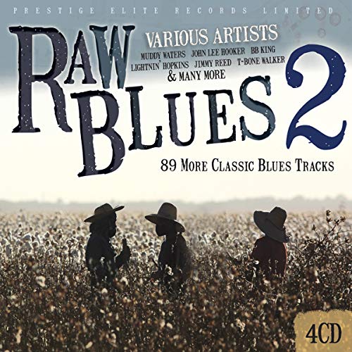 VARIOUS ARTISTS - RAW BLUES VOL 2 - New CDB