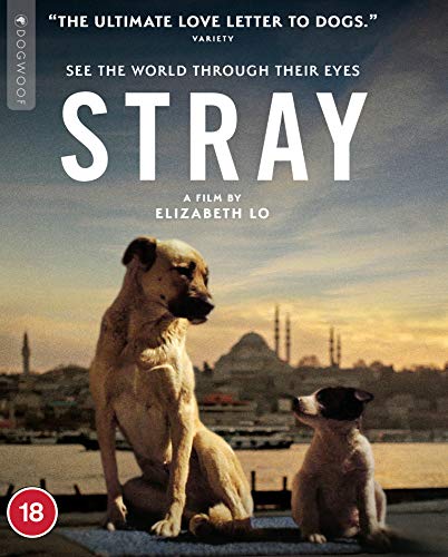 Stray - New blu-ray