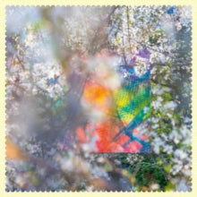 FOUR TET - SIXTEEN OCEANS - Vinyl Record