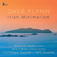 Dave Flynn: Irish Minimalism - CD