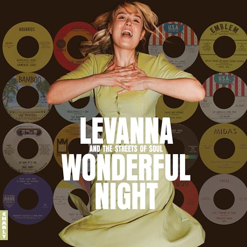 VARIOUS ARTISTS - Wonderful Night Curated By Levanna - New Vinyl Recor