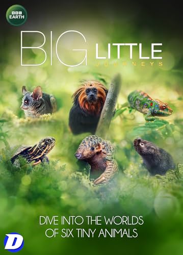 BIG LITTLE JOURNEYS - Big Little Journeys - New DVD