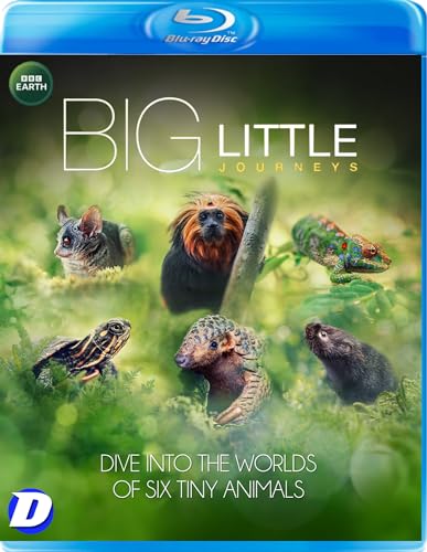 Big Little Journeys - Big Little Journeys - New Bluray