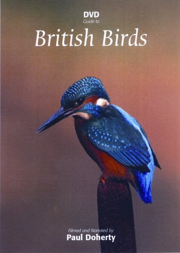 British Birds - New DVD