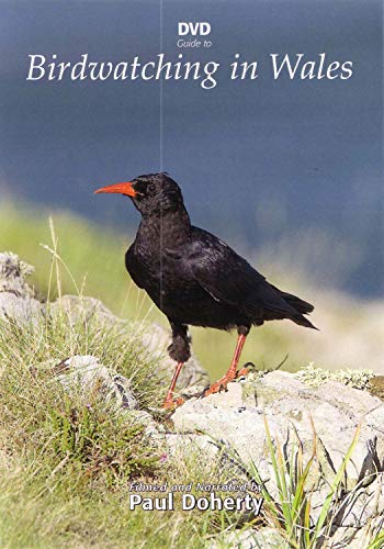 Birdwatching in Wales - New DVD