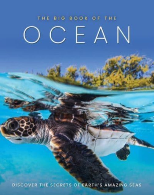Sona Books - Big Book of the Ocean - Hardback