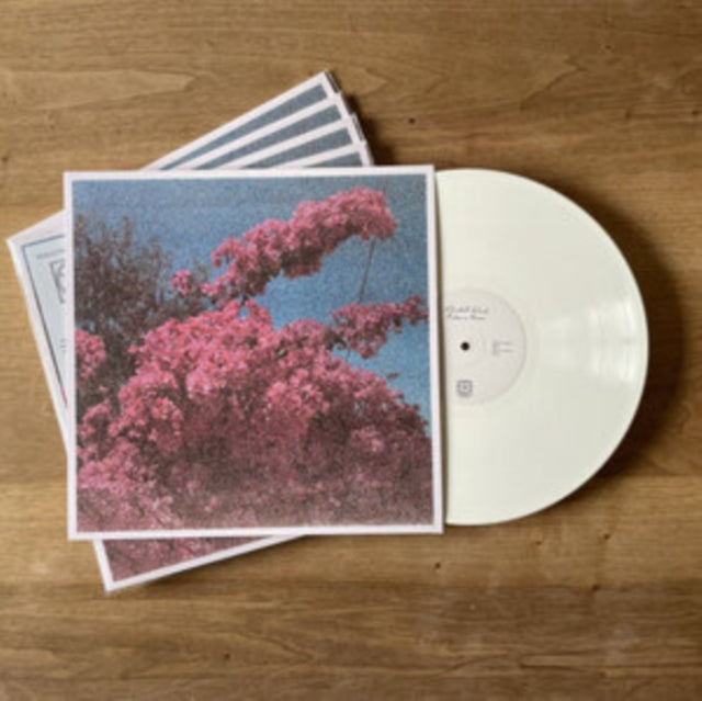 ELISABETH KLINCK - PICTURE A FRAME - Vinyl Record VL