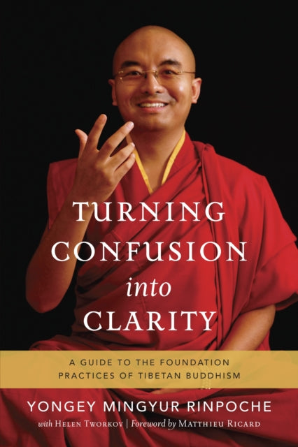 Helen Tworkov - Turning Confusion Into Clarity - Paperback